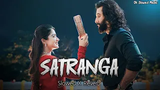 Satranga Lofi Song |  Slowed X Reverb | Arijit Singh | Animal | Dk Slowed Music