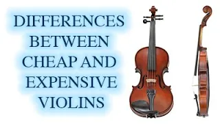 Difference Between Cheap and Expensive Violins | KV