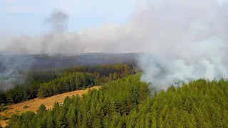 В Самарской области горит Бузулукский бор