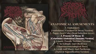 Crash Syndrom - Anatomical Amusements FULL EP (2018 - Goregrind / Deathgrind)