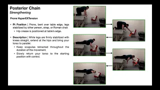 TherEx - Posterior Chain | Prone Hyperextensions & Reverse Hyperextensions