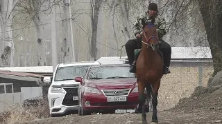 Бойка менен Сарматтын окшоштугун кара 😍😍😍