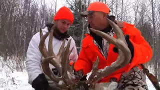 Canadian Whitetail Hunt | Natural Preservatives