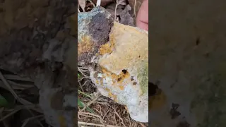 Crushing a GOLD ore sample