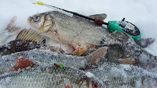 ОПУСТИЛ безмотылку ПОД КУСТ, НАДУБАСИЛ окуня и плотвы! Рыбалка зимой в 2022