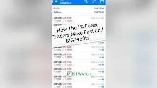 Most Advanced Forex SCALPING Ever Seen | The 1% in LIVE Trading | High Frequency Trading