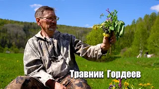 Травник Гордеев