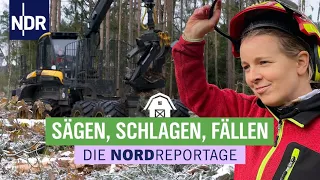 Sägen, Schlagen, Fällen - Mit großen Maschinen durch die Holzernte | Die Nordreportage | NDR