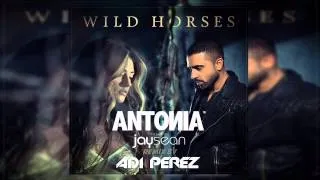 Antonia & Jay Sean - Wild Horses (Adi Perez Remix)