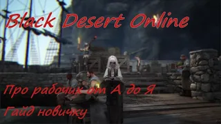 Black Desert Online BDO - Рабочие от А до Я - Гайд новичку