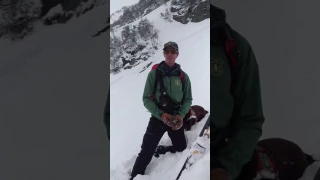 Human-triggered Avalanches in Tuckerman Ravine; April 1, 2017