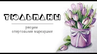 ТЮЛЬПАНЫ / рисуем спиртовыми маркерами