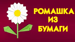 Ромашка из бумаги