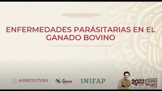 4 Enfermedades Parasitarias En Bovinos