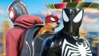 STRAY Spider Cat!? - Spider Man 2 Like a Mexican [Part 5]