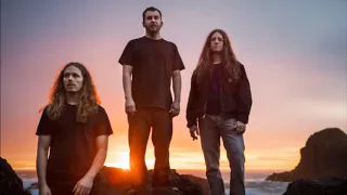 YOB -  Beauty in falling leaves