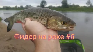 Ловля фидером на реке #5. Фидер в городе.