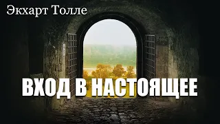 Экхарт Толле. Аудиокнига «Вход в настоящее»