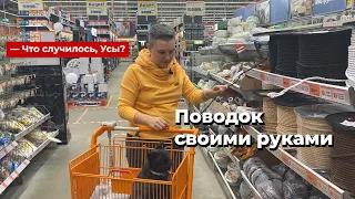 Что случилось, Усы? Поводок своими руками