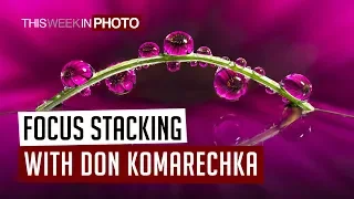 Watch Me Work - Don Komarechka - Focus Stacking