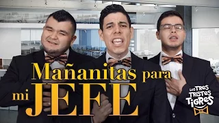 Mañanitas para mi Jefe | Los Tres Tristes Tigres