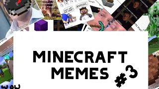 Minecraft memes that killed ender dragon