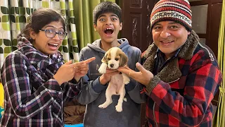 Surprised My Family With A New Puppy 🐶 *Full Shocking Reaction* 🤪