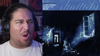 A Different Shade of Blue - Knocked Loose (Full Album Reaction/Review)