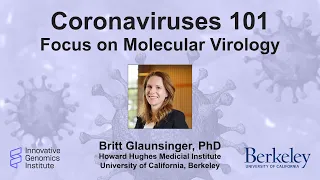 Coronaviruses 101: Focus on Molecular Virology