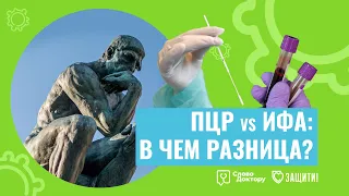 В чем РАЗНИЦА МЕЖДУ ПЦР и ИФА анализом на коронавирус?