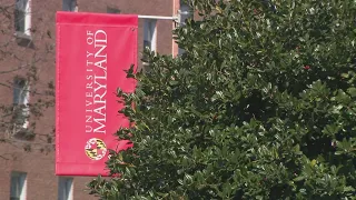 Greek life events at University of Maryland suspended indefinitely