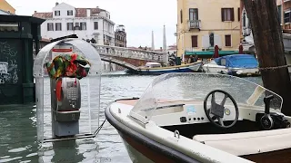 Sogar in Venedig: Ausbleiben der Touristen sorgt für saubereres Wasser