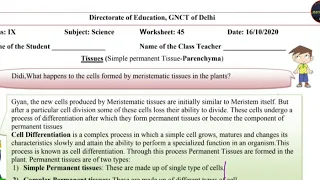 Solution of science worksheet  -45 parenchyma Tissue class IX English medium (16/10/2020)