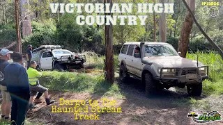 VIC High Country Ep 10 - Nov 21 - Dargo, Upper Dargo River to The Haunted Stream Track