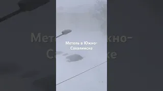 Метель, буран в Южно-Сахалинске