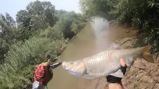 Fresh Water Fishing - 10 07 2020 - דיג במים מתוקים