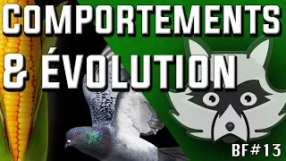 🐒➜ COMMENT l'ÉVOLUTION EXPLIQUE  nos COMPORTEMENTS