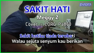 SAKIT HATI Meggy Z KARAOKE Cover Pa800