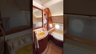 Airbus 319 VIP Airliner Private Jet