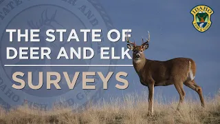 The State of Deer and Elk: Surveys