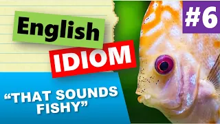 English Idiom #6 - That Sounds Fishy