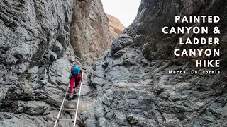 Painted Canyon and Ladder Canyon Hike Near Palm Spring, California