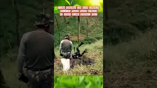 melihatnya jadi kasian😭 #sniper #bravo #raider #tniad #intel #abdinegara #shortvideo #kopassus