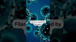 Filaria is caused by? (Quiz)-Youtube Shorts