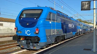 LA NUOVA LIVREA INTERCITY NOTTE di Trenitalia?