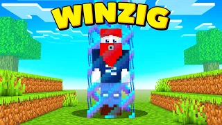 BENX SPIELT MINECRAFT WINZIG!