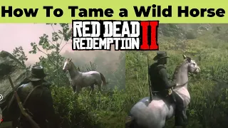 RDR2 How to Tame a Wild Horse - How to Find and Tame the Perlino Andalusian