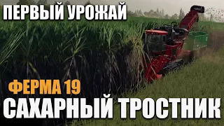 Всё о "Сахарный тростник" в farming simulator 2019 - Уборка, Продажа Тростника