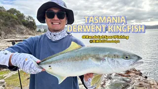 Land-Based Tasmania Kingfish | Derwent River