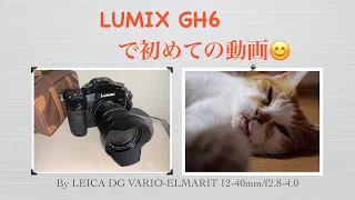 LUMIX GH6 でただ動画撮影して見た！